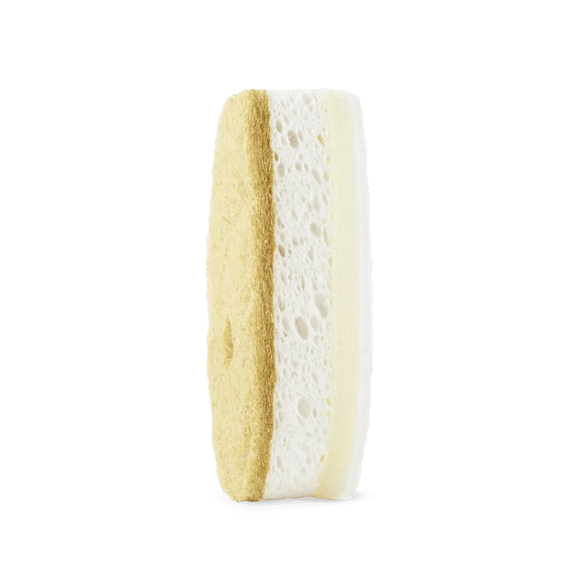 Indų plovimo kempinė su dozatoriumi